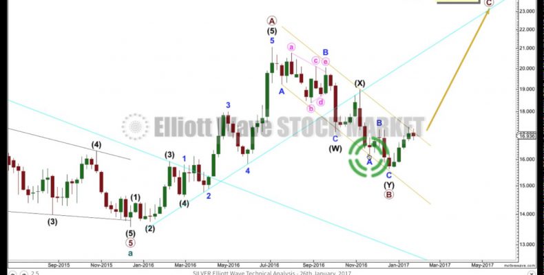 Silver Elliott Wave and Technical Analysis — 25th January, 2017.