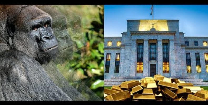 ФРС и цены на золото: не пропустите «Невидимую гориллу»