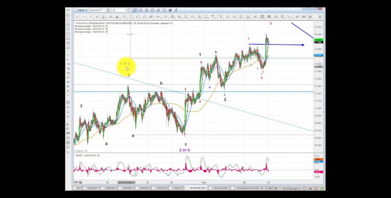 Elliott Wave Analysis of Gold, TTGD index & Silver as of 11th February 2017