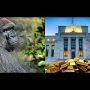 The Fed and Gold Prices: Don’t Miss the “Invisible Gorilla”