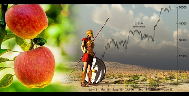 Successful Investors: «Avoid the Fruit, Embrace the Spear»
